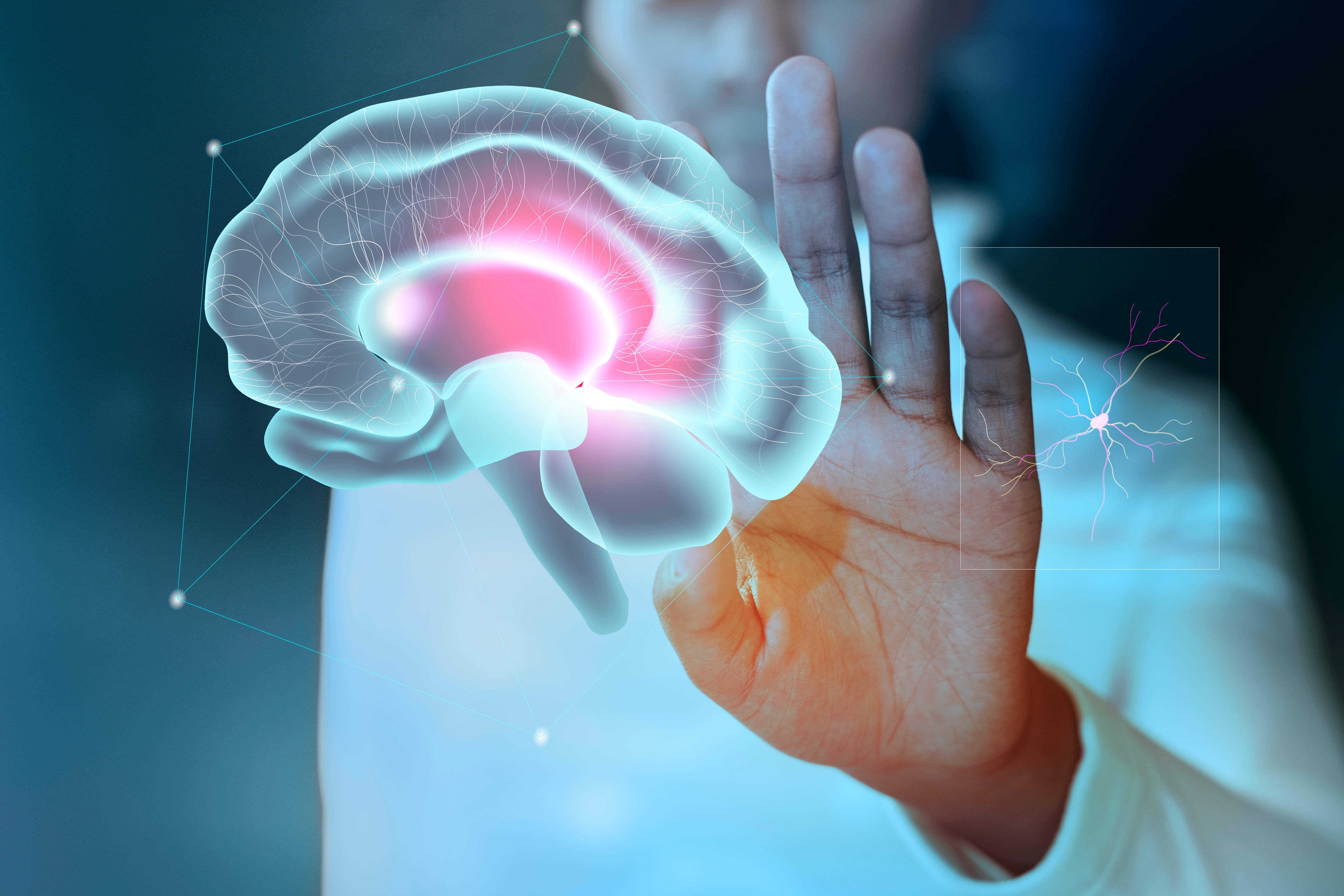 Neuroscience Research Visual